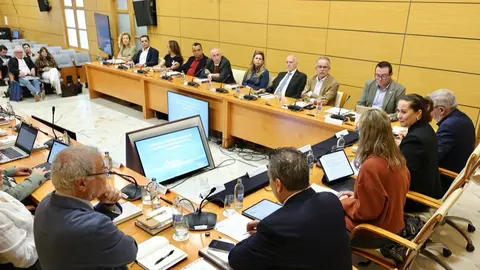Pleno del Consejo Social de ULPGC en Fuerteventura.