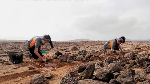 Excavación en el enterramiento de El Matorral.