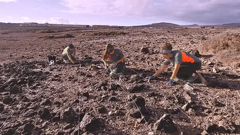 Excavación en el yacimiento aborigen de Rosa de Abajo, en El Matorral.
