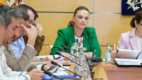 Nuria Cabrera, en el pleno del Cabildo.