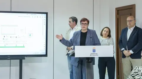 La consejera de Bienestar Social, Candelaria Delgado, en rueda de prensa sobre el sistema de la Dependencia en Canarias.