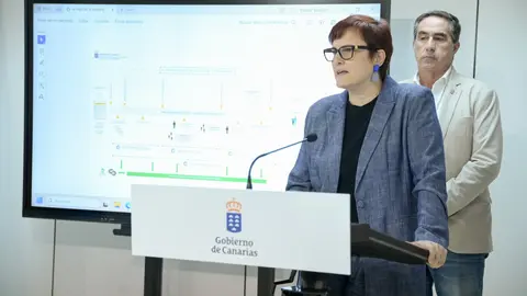Candelaria Delgado, en rueda de prensa sobre el sistema de la Dependencia