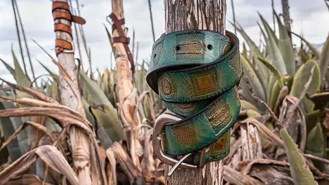 Imagen promocional de la web de Artesanos Creativos de Fuerteventura.