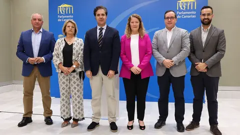 Seis grupos del Parlamento apoyan legislar en Accesibilidad Universal.