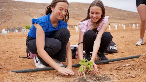 Proyecto 'De la tierra', del Ayuntamiento de La Oliva.