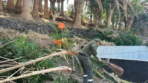 Retirada de maleza junto al CEIP Morro Jable.