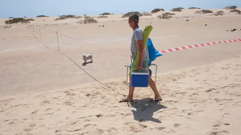 Espacio acotado en la restauración de las Dunas de Corralejo.