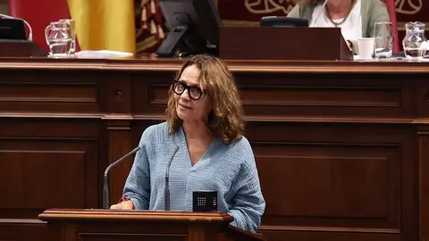 La diputada majorera Rosa Bella Cabrera (PSOE), en el pleno del Parlamento de Canarias el 9 de julio de 2025.