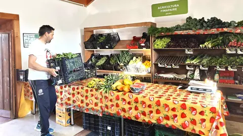 Mercado de las Tradiciones de La Oliva | ©Fuerteventura Digital, 2023