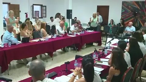 Salvar La Cornisa intervino en el pleno municipal.