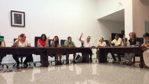 Pleno extraordinario en el Ayuntamiento de Tuineje.