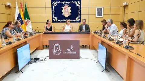 Reunión entre el Cabildo, ayuntamientos y Red Eléctrica.