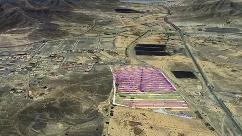 Gavias junto al Barrio de Panchito Ramos, en la ubicación del parque solar Majorera I.