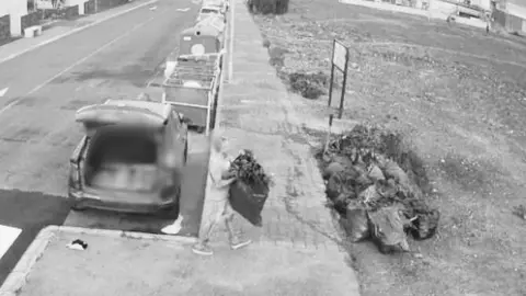 Cámaras de seguridad captan el depósito irregular de poda en La Oliva.