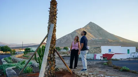 Árboles y palmeras dañados en Tindaya.