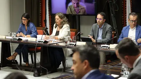 Comisión de Cabildos del Parlamento de Canarias, el 7 de octubre de 2025.