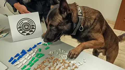 Intervención de los perros del Grupo de Guías Caninos de la Policía Canaria en Morro Jable.