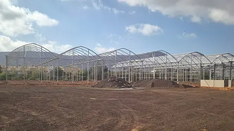 La Estación Biológica de La Oliva contará con invernaderos y banco de germoplasma.