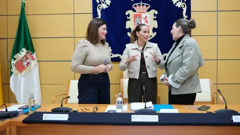 Presentaci&oacute;n del Presupuesto 2026 del Cabildo de Fuerteventura.