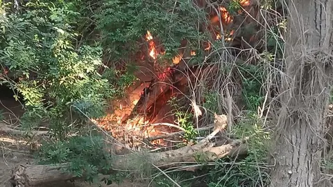 Imagen que ilustra el sabotaje en Costa Calma.