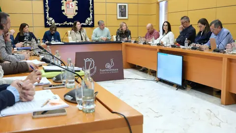 Sesi&oacute;n ordinaria del pleno del Cabildo, en enero de 2026.