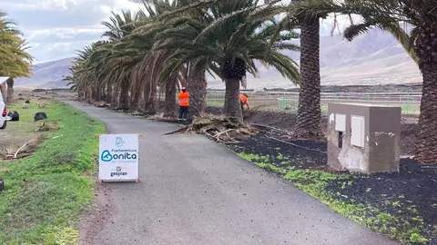 Preparativos de Feaga 2026.
