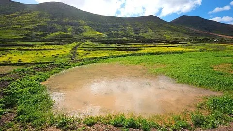 Gavia llena por las lluvias en Vallebr&oacute;n (La Oliva).