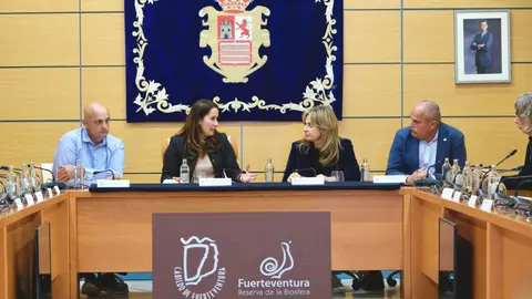 Reuni&oacute;n en el Cabildo con la consejera de Sanidad