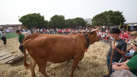 Escolares visitan FEAGA 2026.