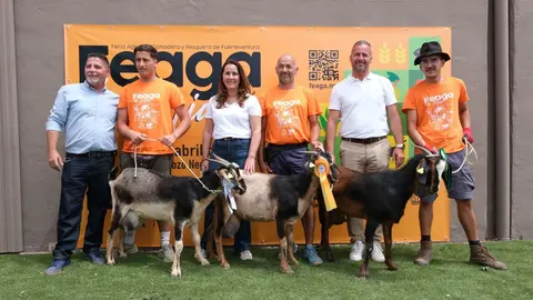 Vencedores del Concurso de Valoraci&oacute;n Morfol&oacute;gica de Feaga 2026.