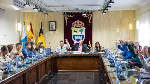 Votaci&oacute;n en el pleno de La Oliva.