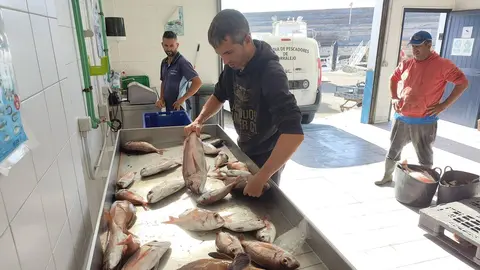 Llegada del pescado a la Cofrad&iacute;a de Pescadores de Corralejo | &copy;Fuerteventura Digital, 2023