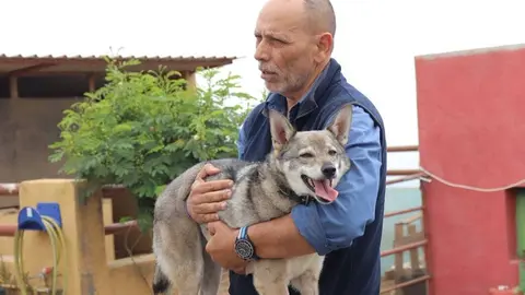 El presidente de Amilobo, Manuel P&eacute;rez Ram&iacute;rez, con un  lobito herre&ntilde;o.