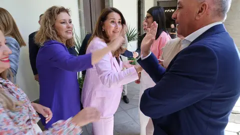 Ley de Cabildos Parlamento (3)