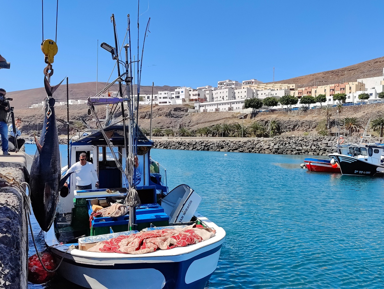 Pesca de atún rojo en el Muelle de Gran Tarajal.