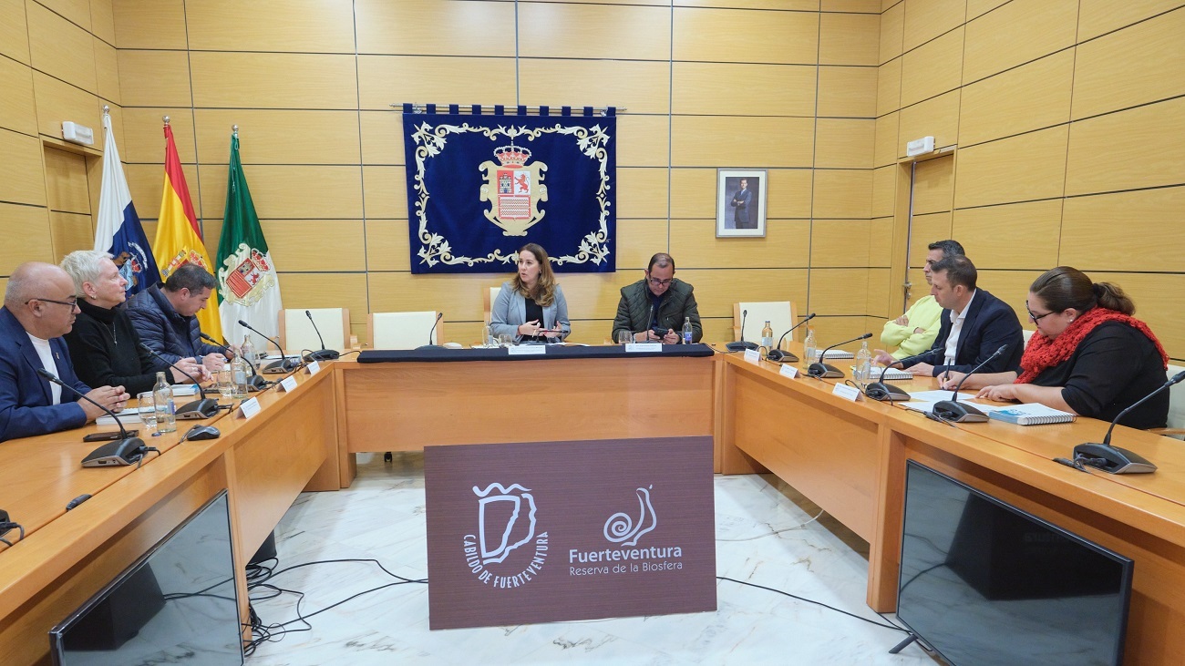 Reunión Cabildo-ayuntamientos sobre seguridad ciudadana y vivienda