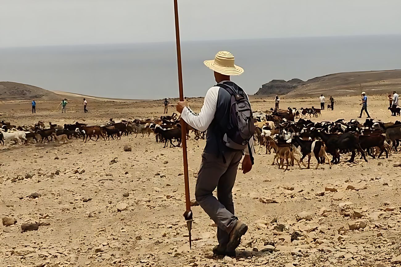 Apañada en Betancuria | ©Fuerteventura Digital