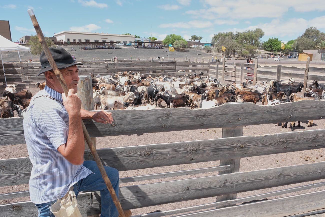 Apañada en Feaga (2)