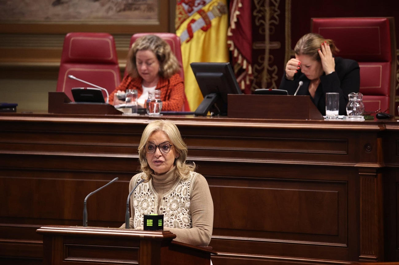 Esther Monzón, en el Parlamento.