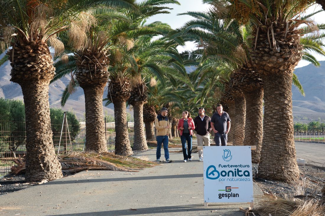 palmeras pozo negro bonita por naturaleza (1)