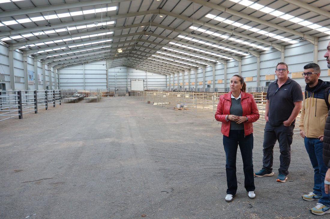 Preparativos de Feaga 2025 (3) (1)