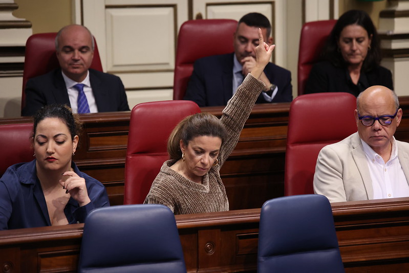 Segunda jornada del debate de la Nacionalidad Canaria (1)