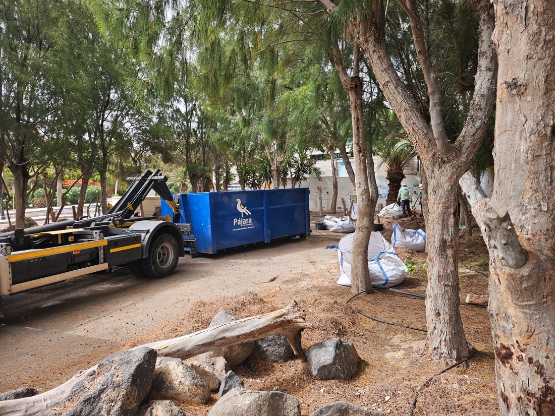 Acondicinamiento de jardines en Costa Calma (2)