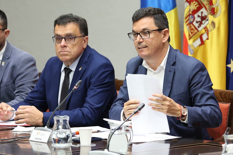 Los consejeros Manuel Miranda y Pablo Rodríguez, en la Comisión de Cabildos del Parlamento.