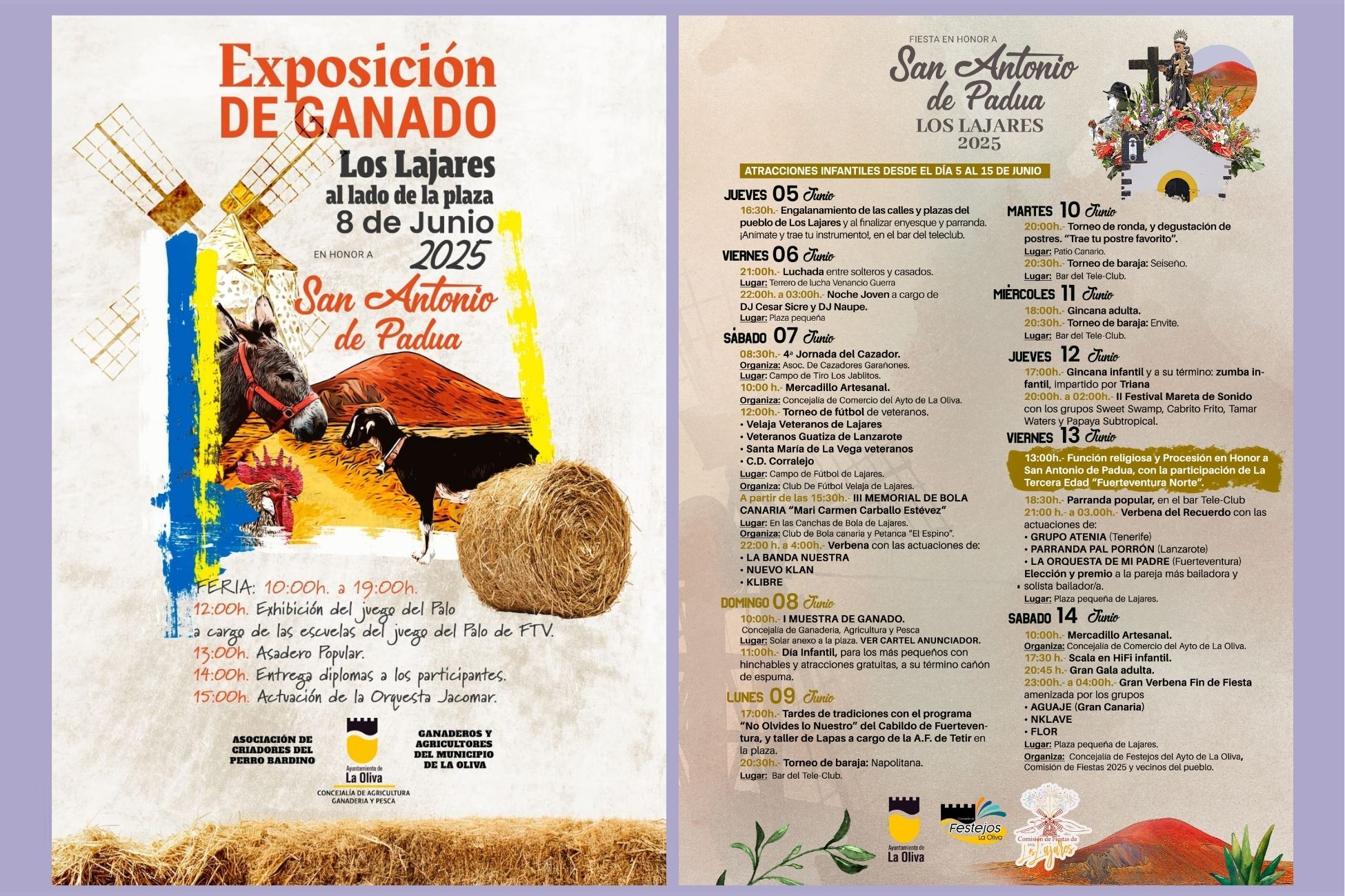 Programas de San Antonio de Padua 2025.