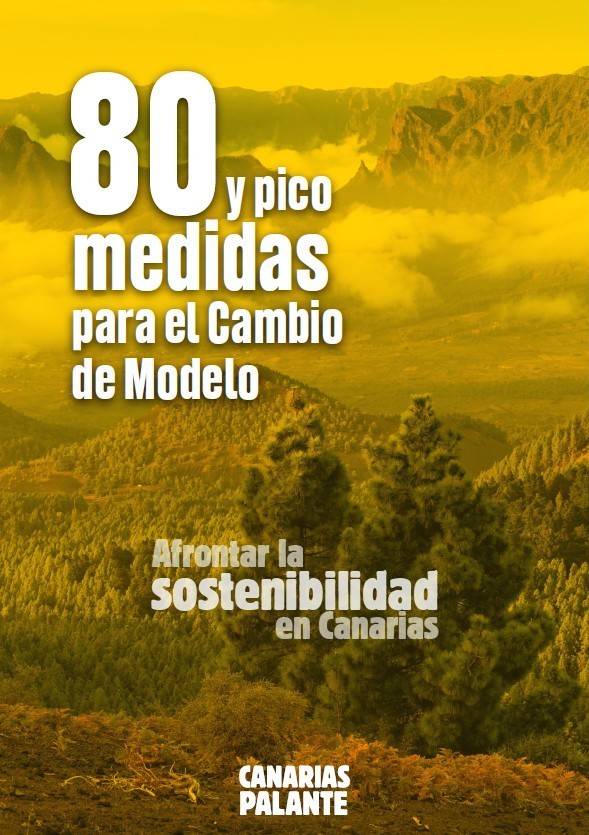 Cartel 80 y pico medidas de Canarias Palante.