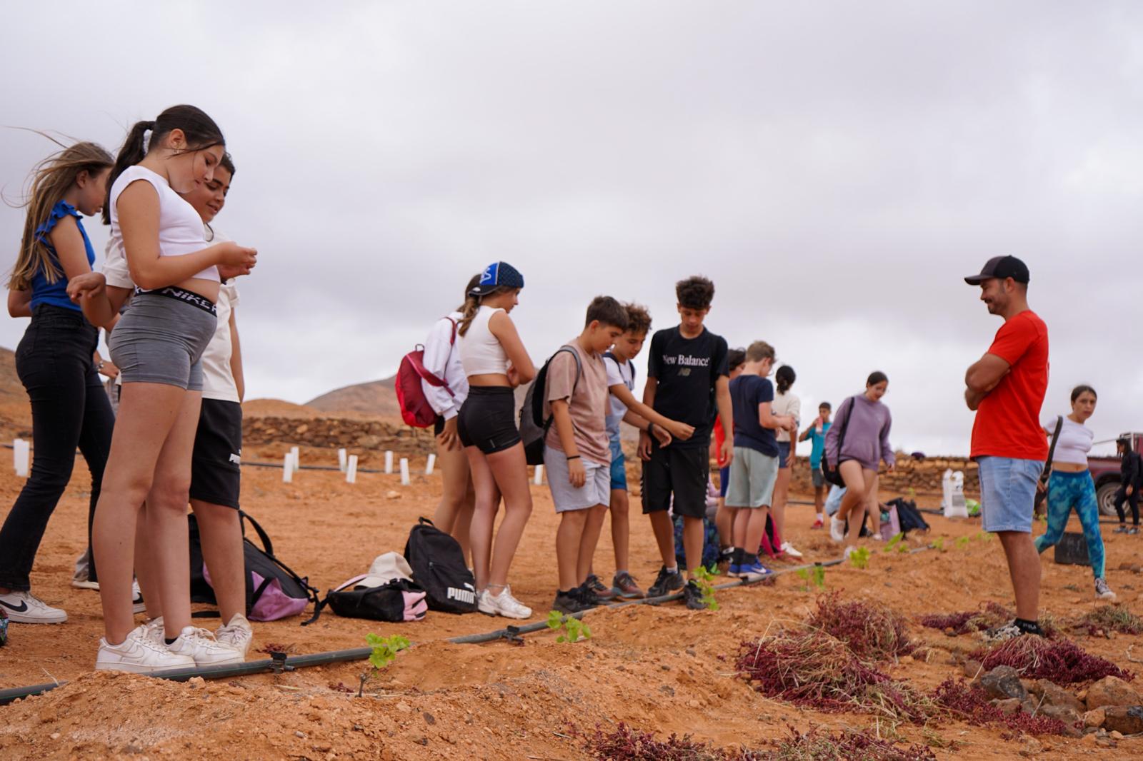 Proyecto 'De la tierra', del Ayuntamiento de La Oliva (4)