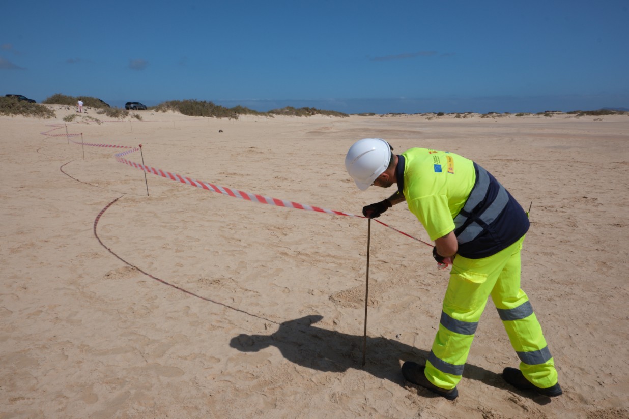 20250626_consejero_transicion_ecologica_proyectos_restauracion_dunas8_copy_1236x824