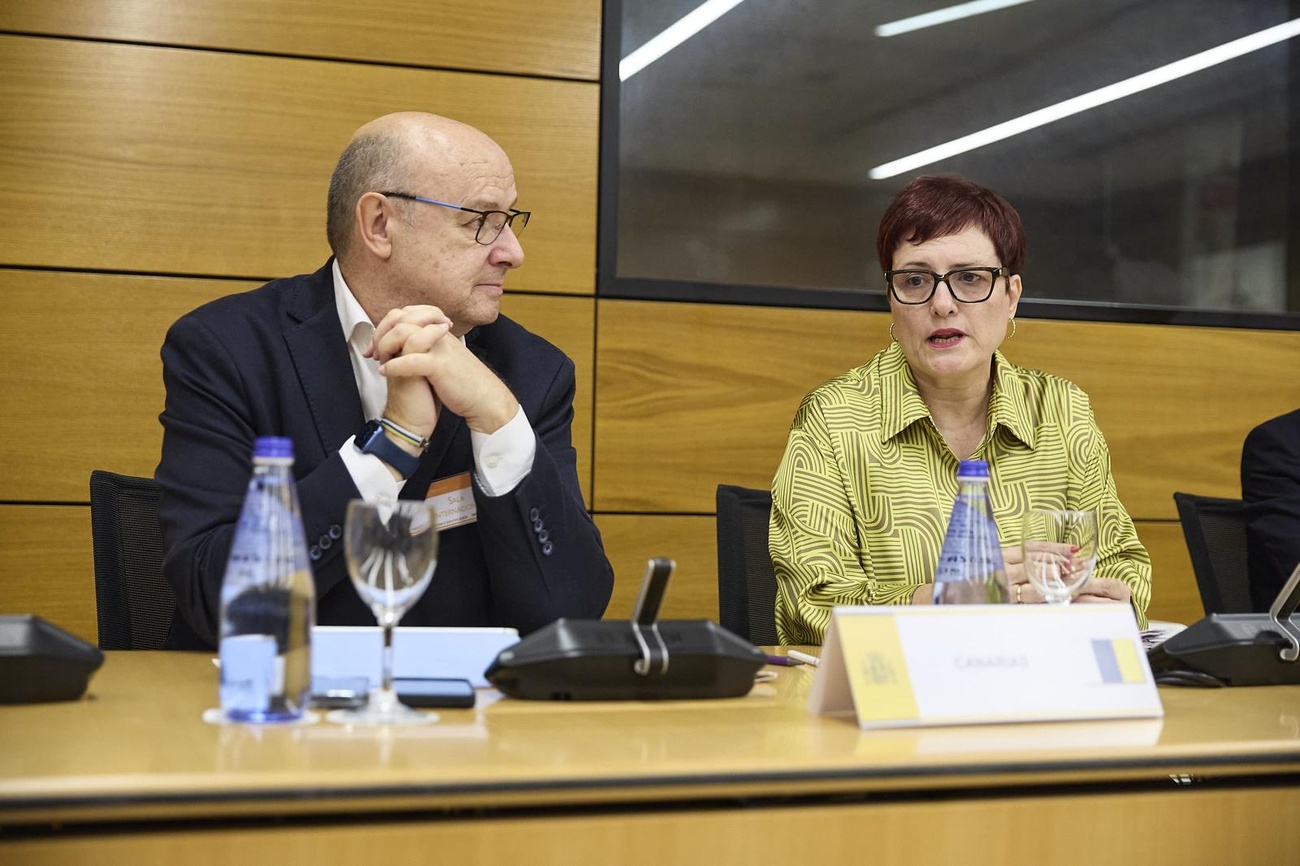 Candelaria Delgado, en la Conferencia Sectorial de Infancia.