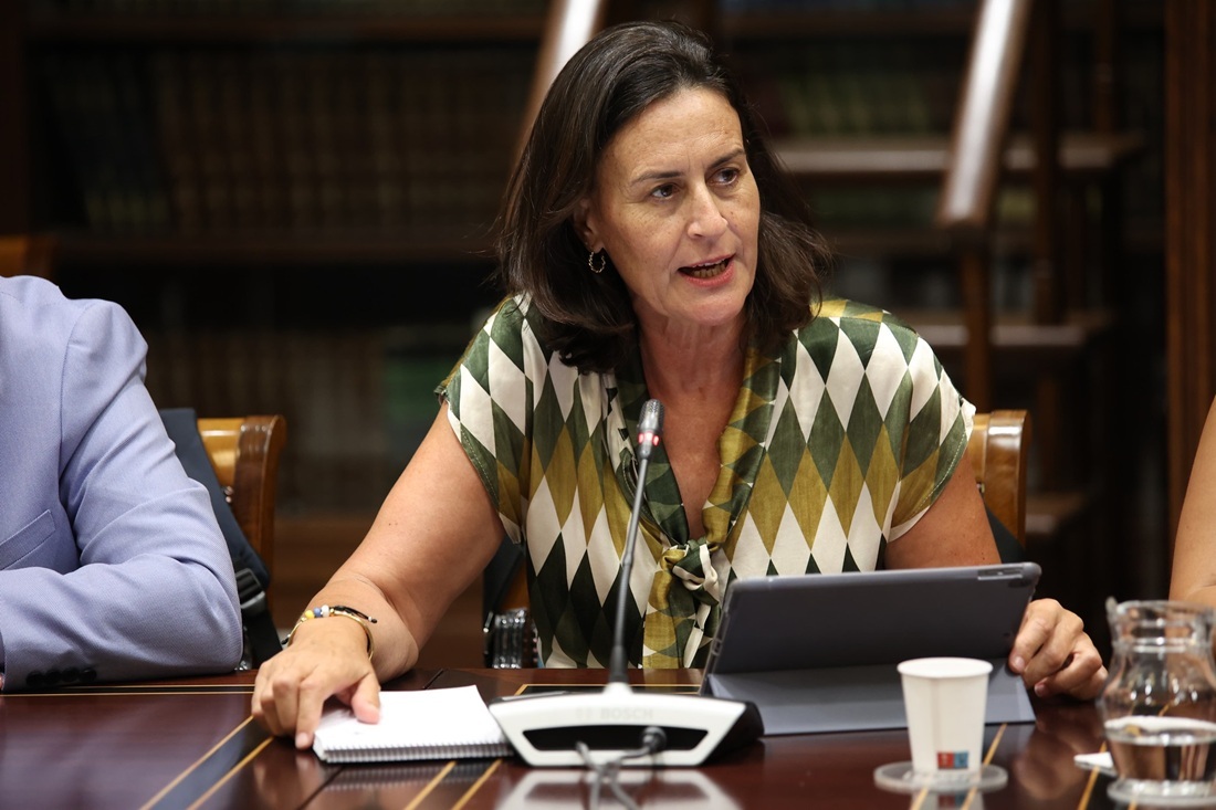 Natalia Évora, en Comisión de Política Territorial, el 17 de julio de 2025.